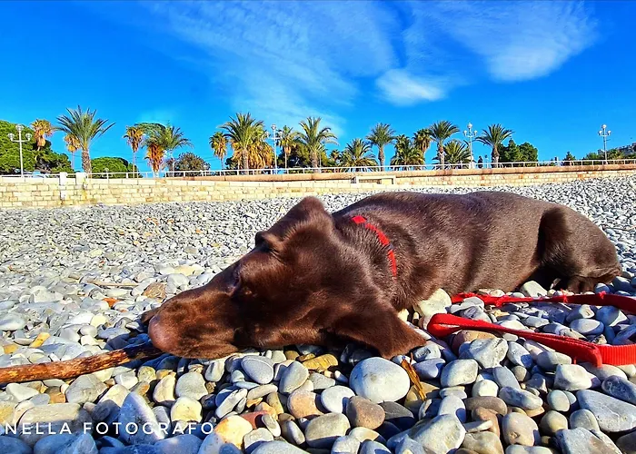 Le Petit Trianon Et Le Charme Des 2* نيس