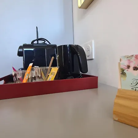 Отель Le Petit Trianon Et Le Charme Des Ницца